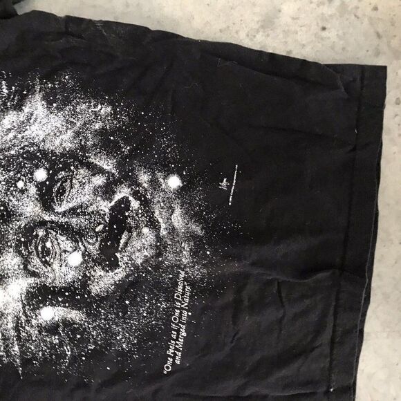 Cotton Expressions Limited Albert Einstein Short Sleeve T-Shirt Juniors 10 11 12 - Picture 6 of 8